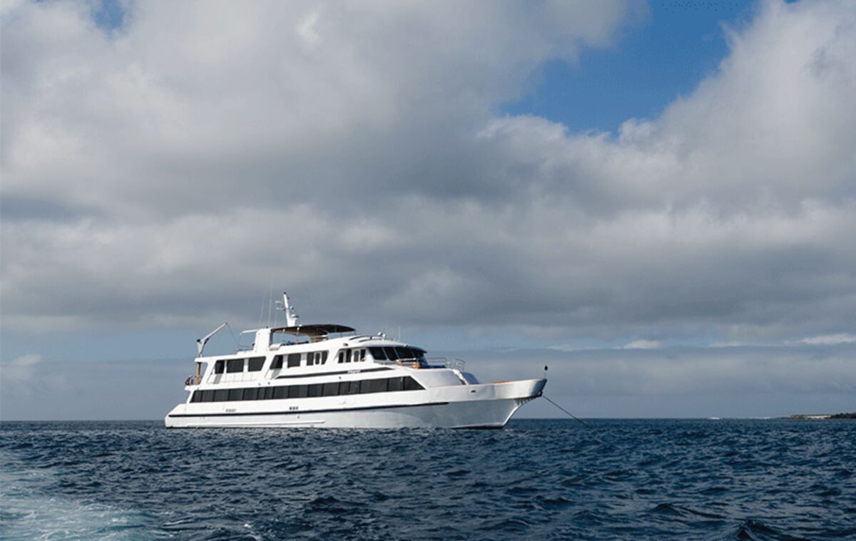 Integrity cruise
