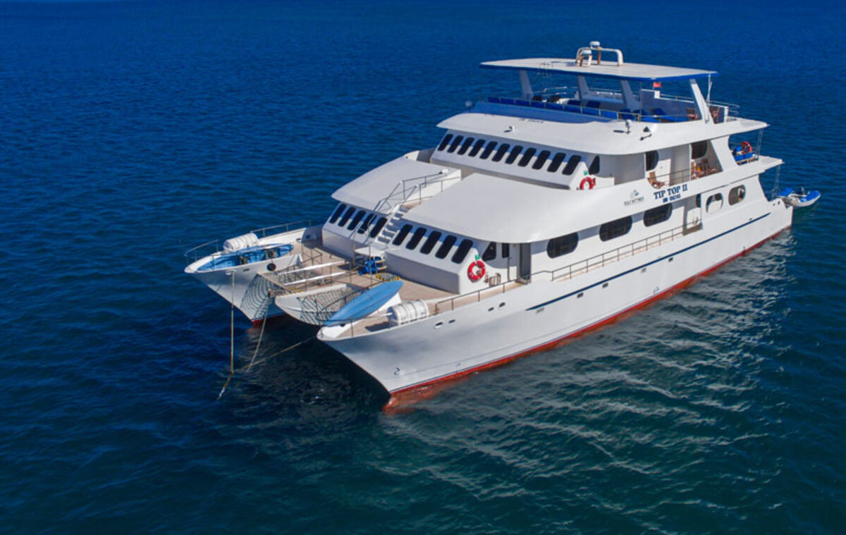 Tip Top II cruise